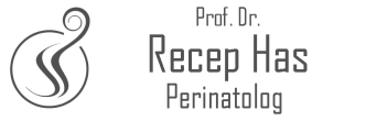 Prof. Dr. Recep Has